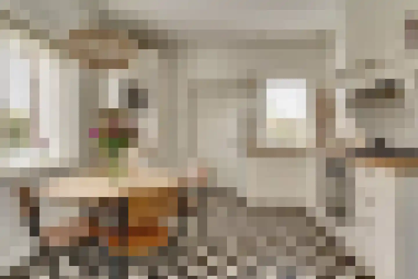 Tielsestraat 113 Valburg thumbnail 7