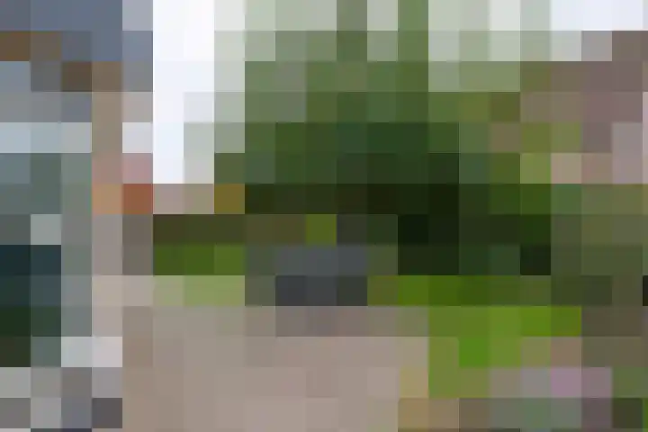 Tielsestraat 18 Maurik thumbnail 10
