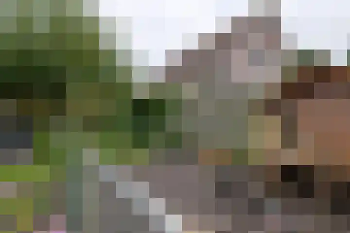 Tielsestraat 18 Maurik thumbnail 11