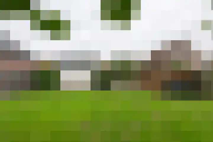 Tielsestraat 18 Maurik thumbnail 12