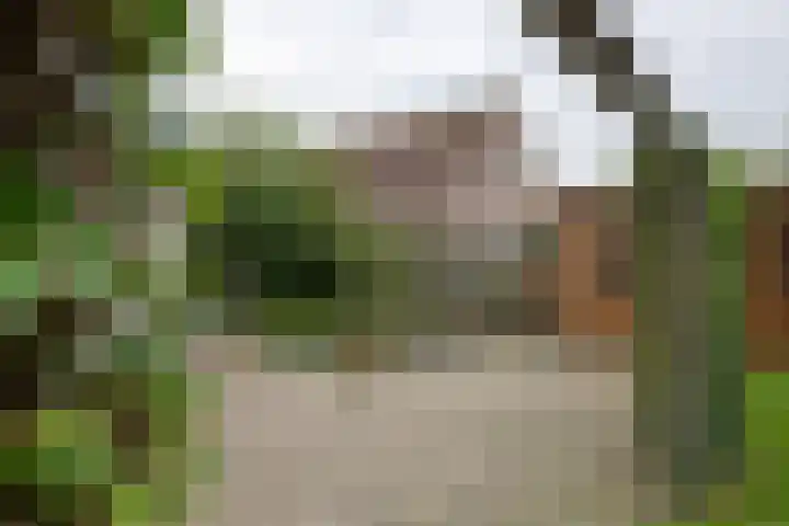 Tielsestraat 18 Maurik thumbnail 13