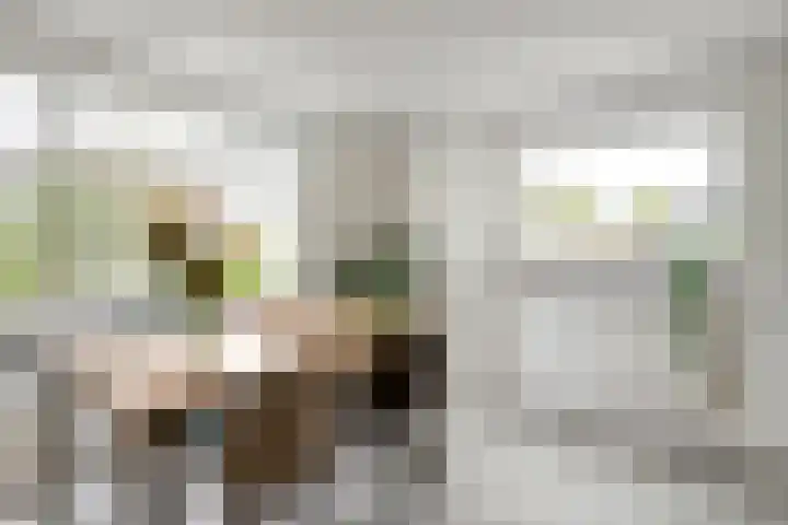 Tielsestraat 18 Maurik thumbnail 19