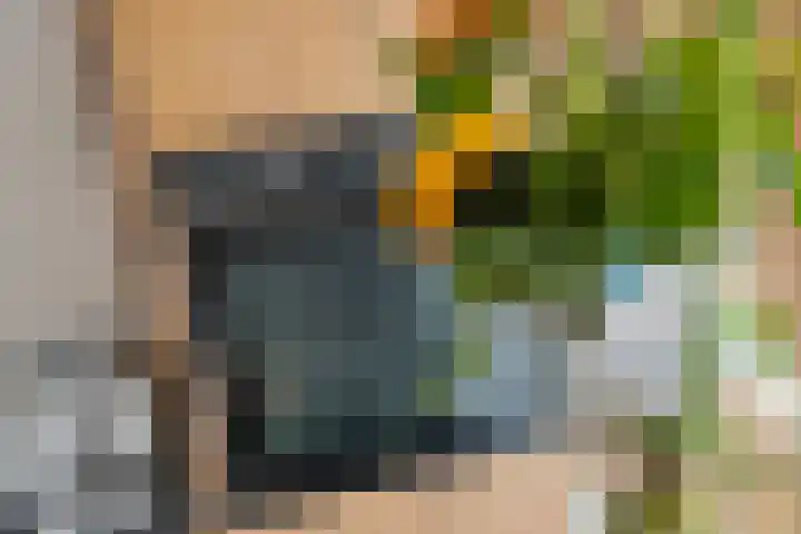 Tielsestraat 18 Maurik thumbnail 23