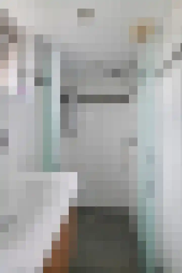 Tielsestraat 18 Maurik thumbnail 37