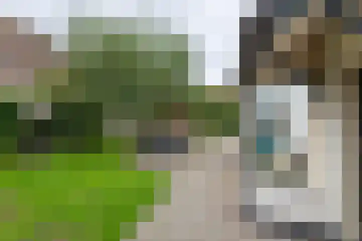 Tielsestraat 18 Maurik thumbnail 6