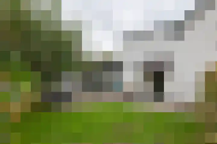 Tielsestraat 18 Maurik thumbnail 7
