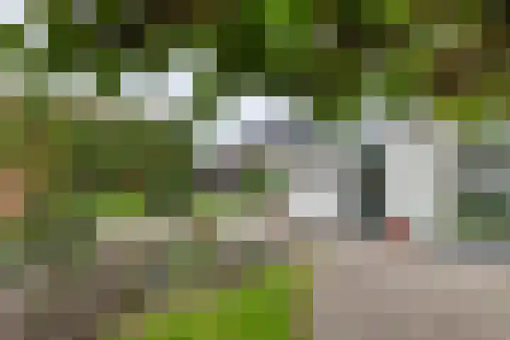 Tielsestraat 18 Maurik thumbnail 9