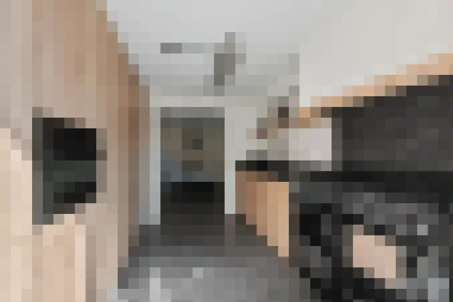 Tielsestraat 21 Opheusden thumbnail 10