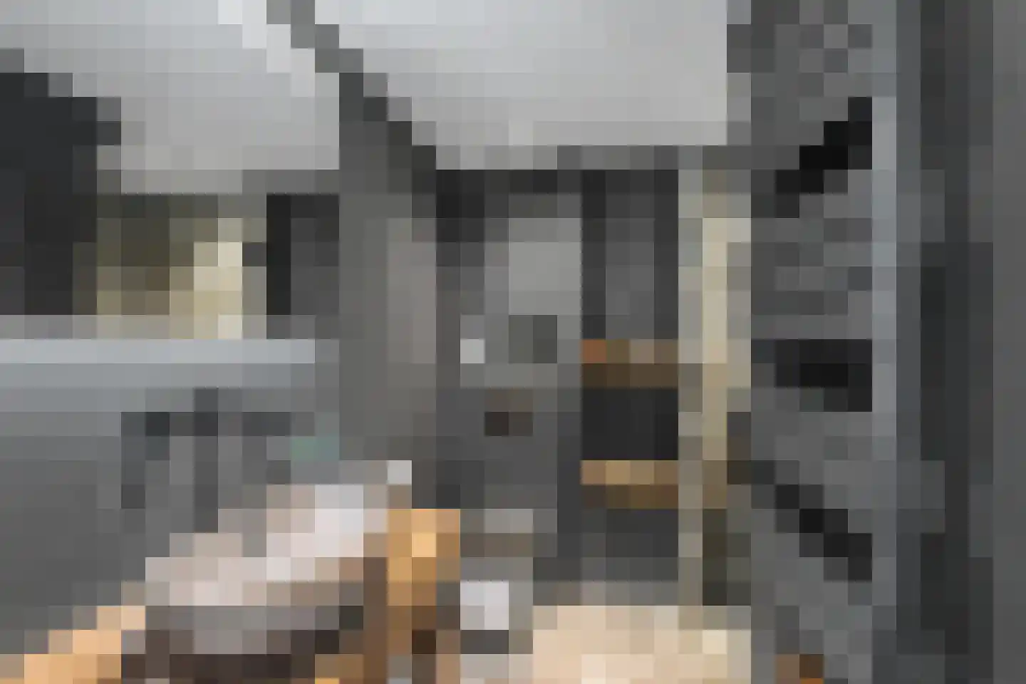 Tielsestraat 21 Opheusden thumbnail 11