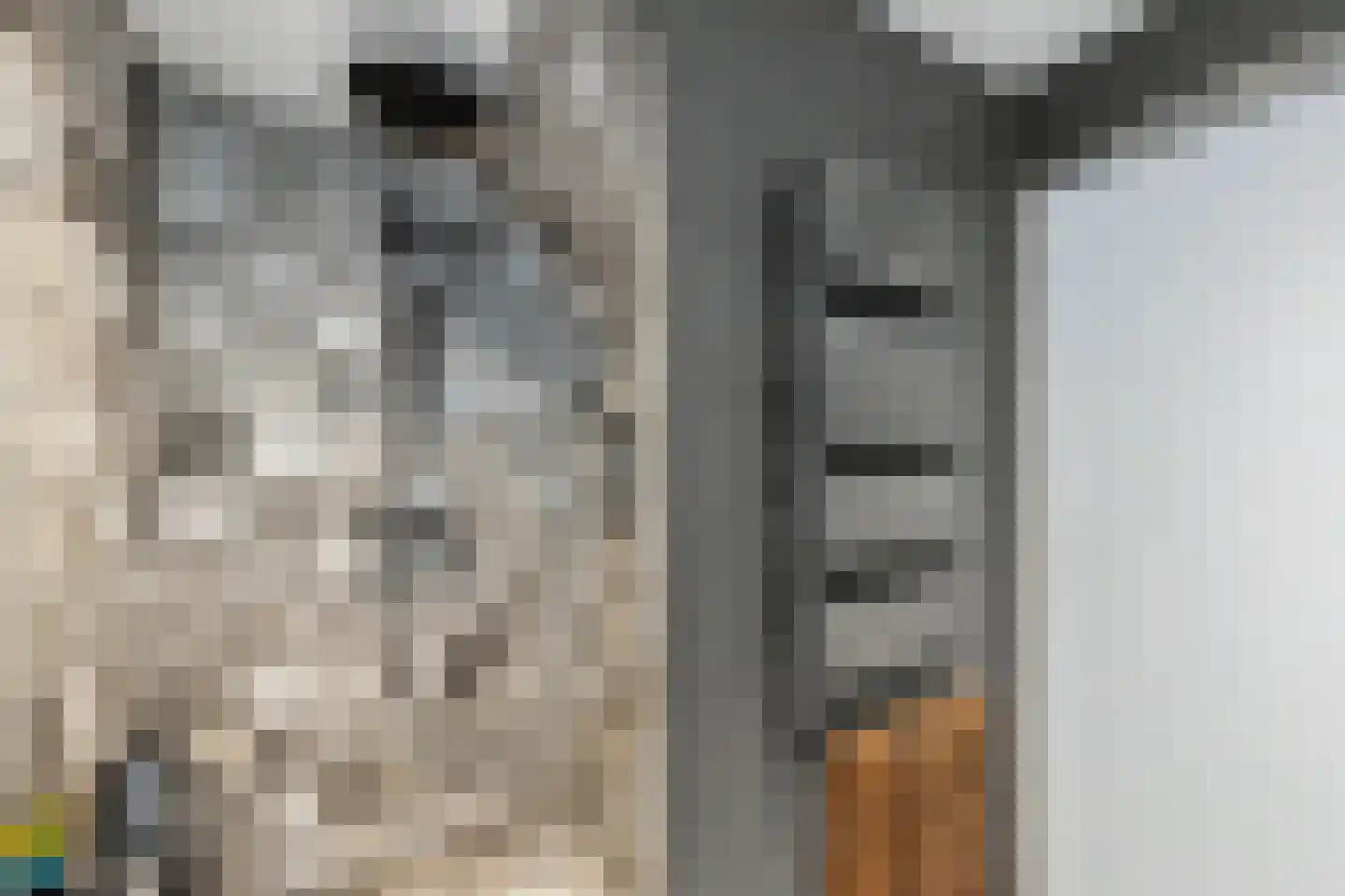 Tielsestraat 21 Opheusden thumbnail 12