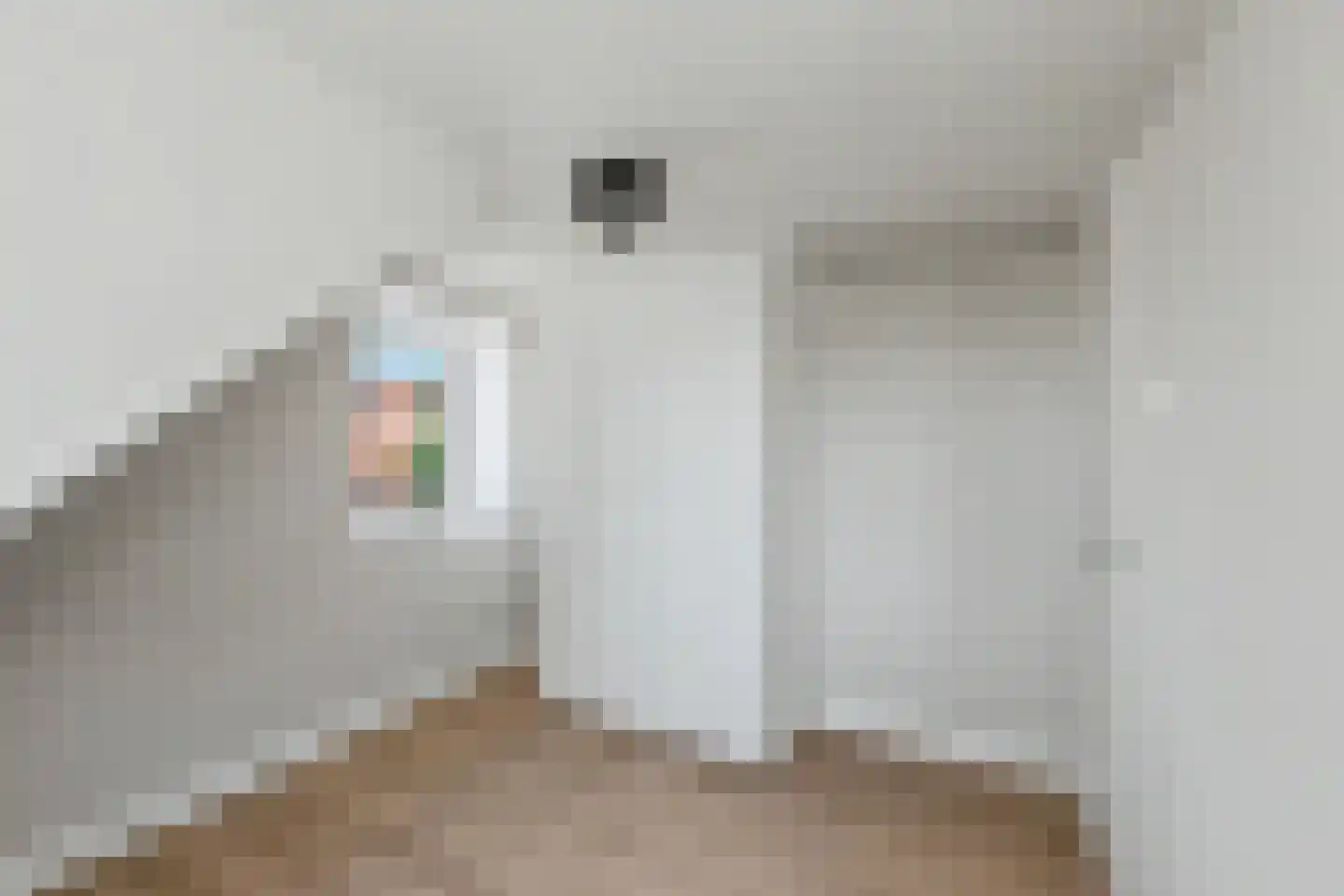 Tielsestraat 21 Opheusden thumbnail 21