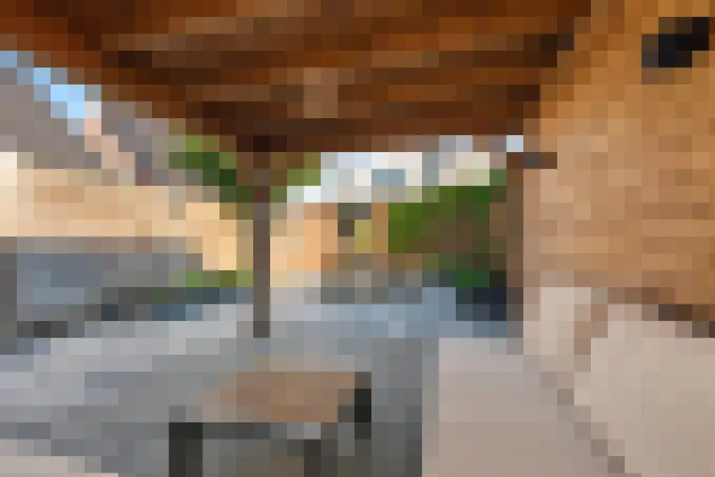 Tielsestraat 21 Opheusden thumbnail 27