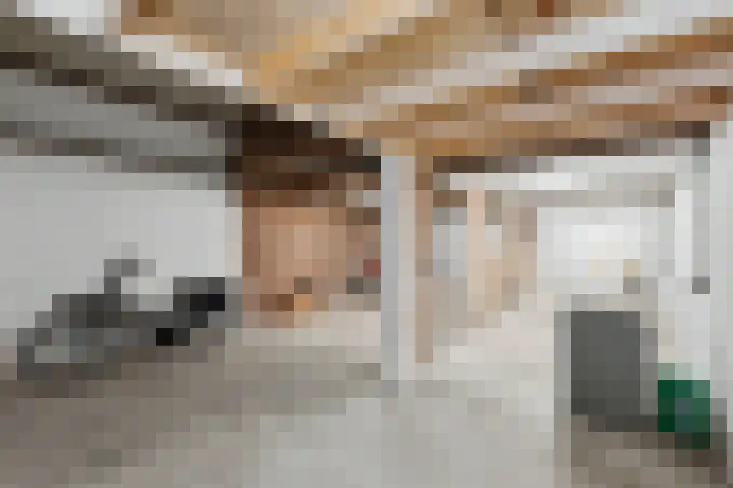 Tielsestraat 21 Opheusden thumbnail 33