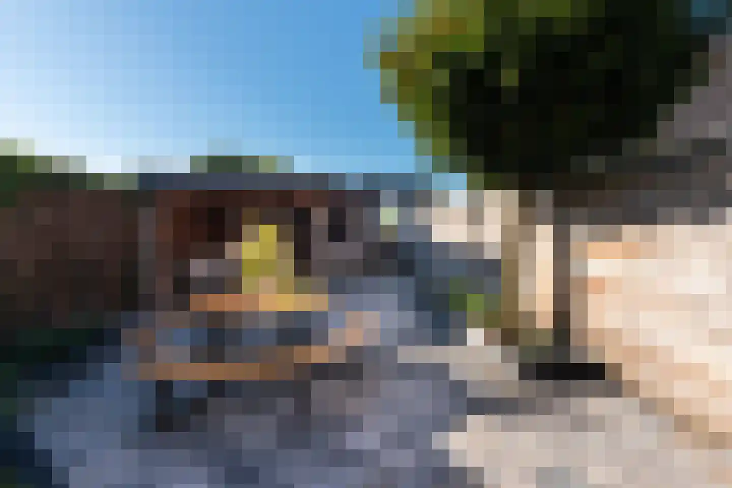 Tielsestraat 21 Opheusden thumbnail 4