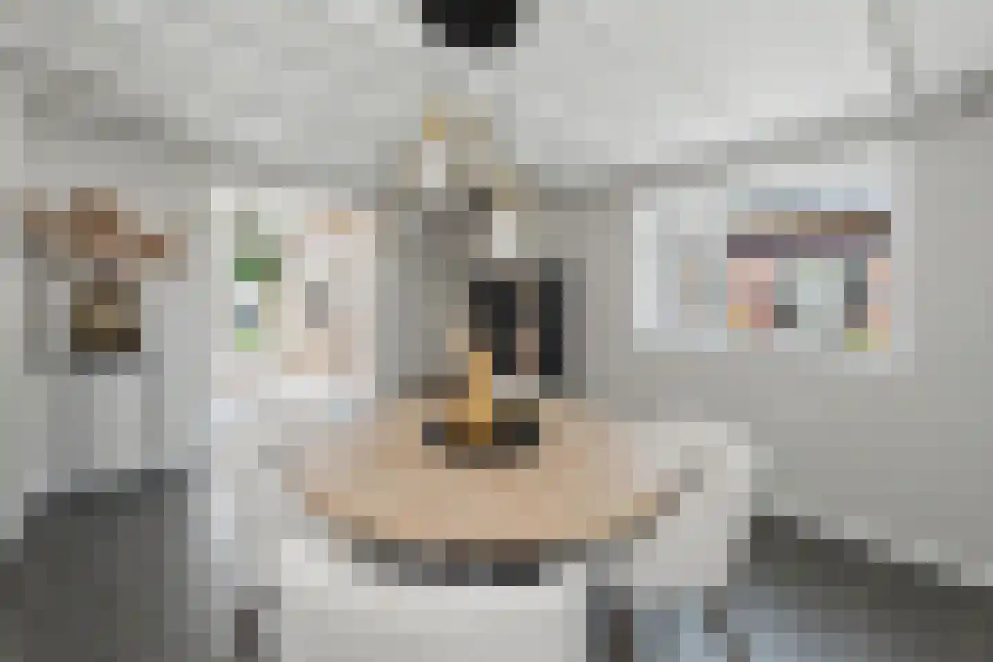 Tielsestraat 21 Opheusden thumbnail 8