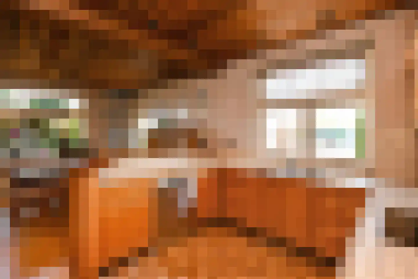 Tielsestraat 213 Andelst thumbnail 11