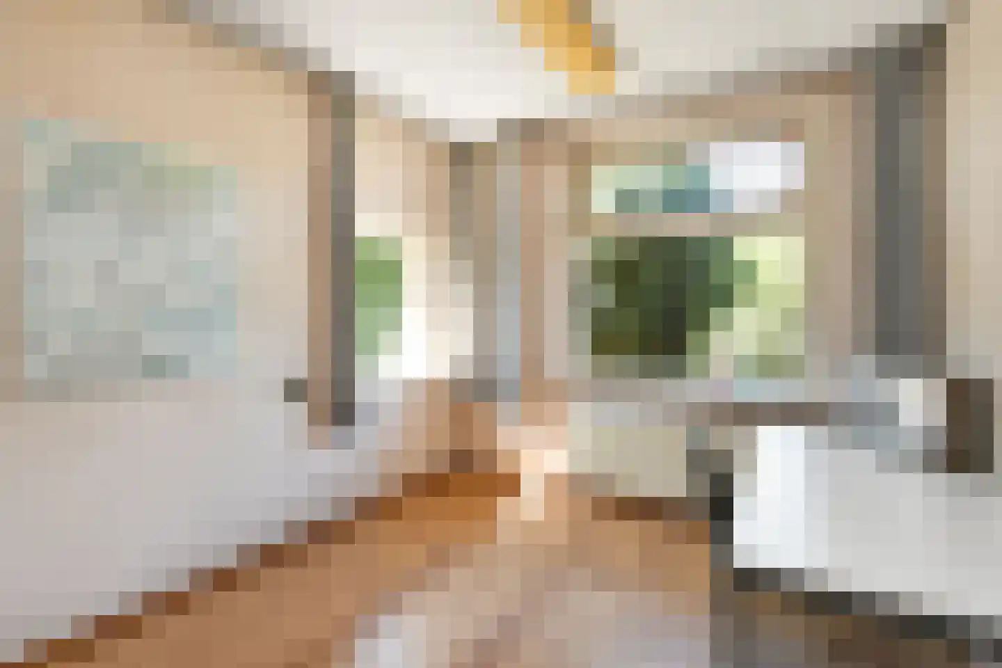 Tielsestraat 213 Andelst thumbnail 12
