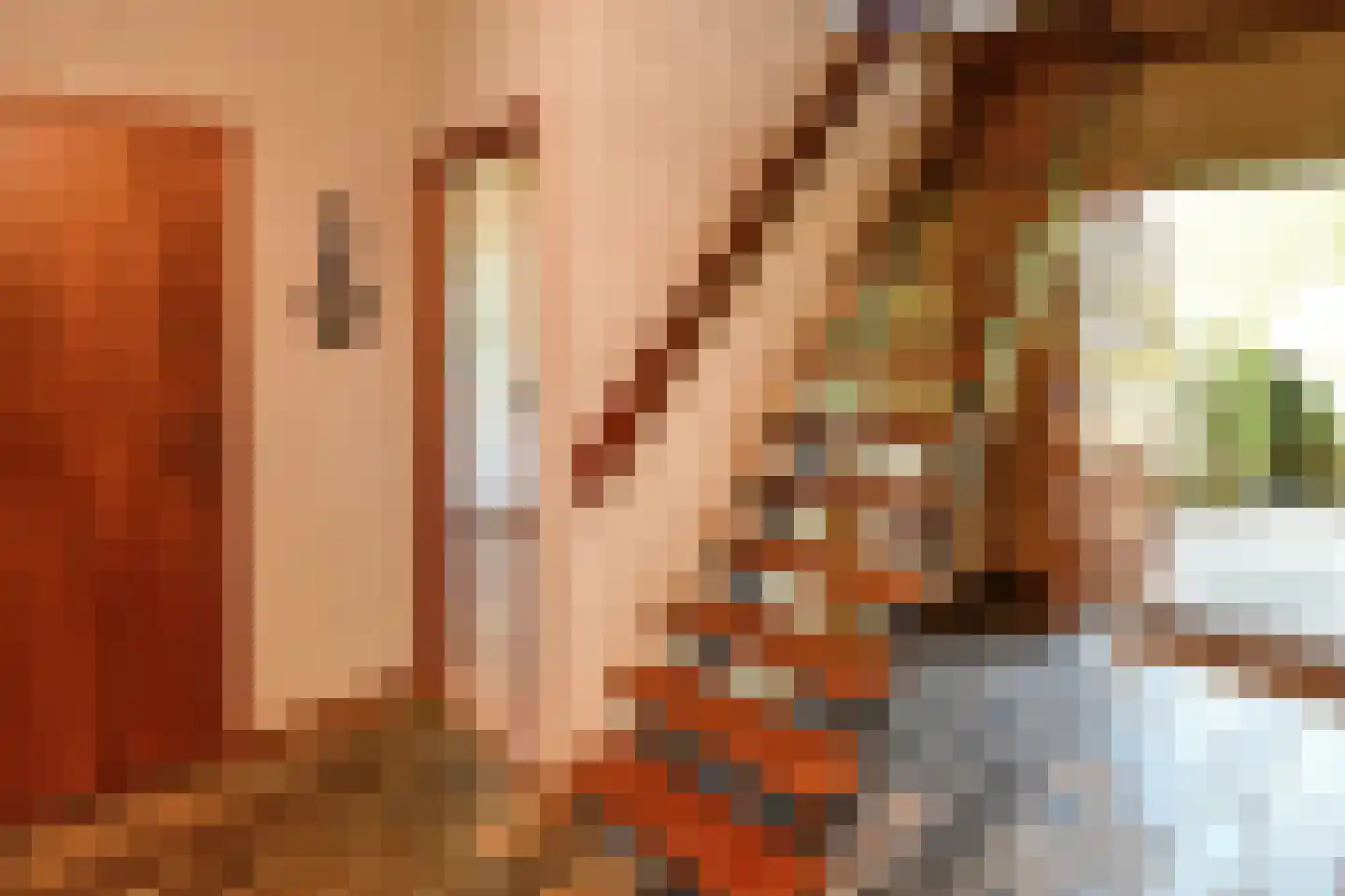 Tielsestraat 213 Andelst thumbnail 14