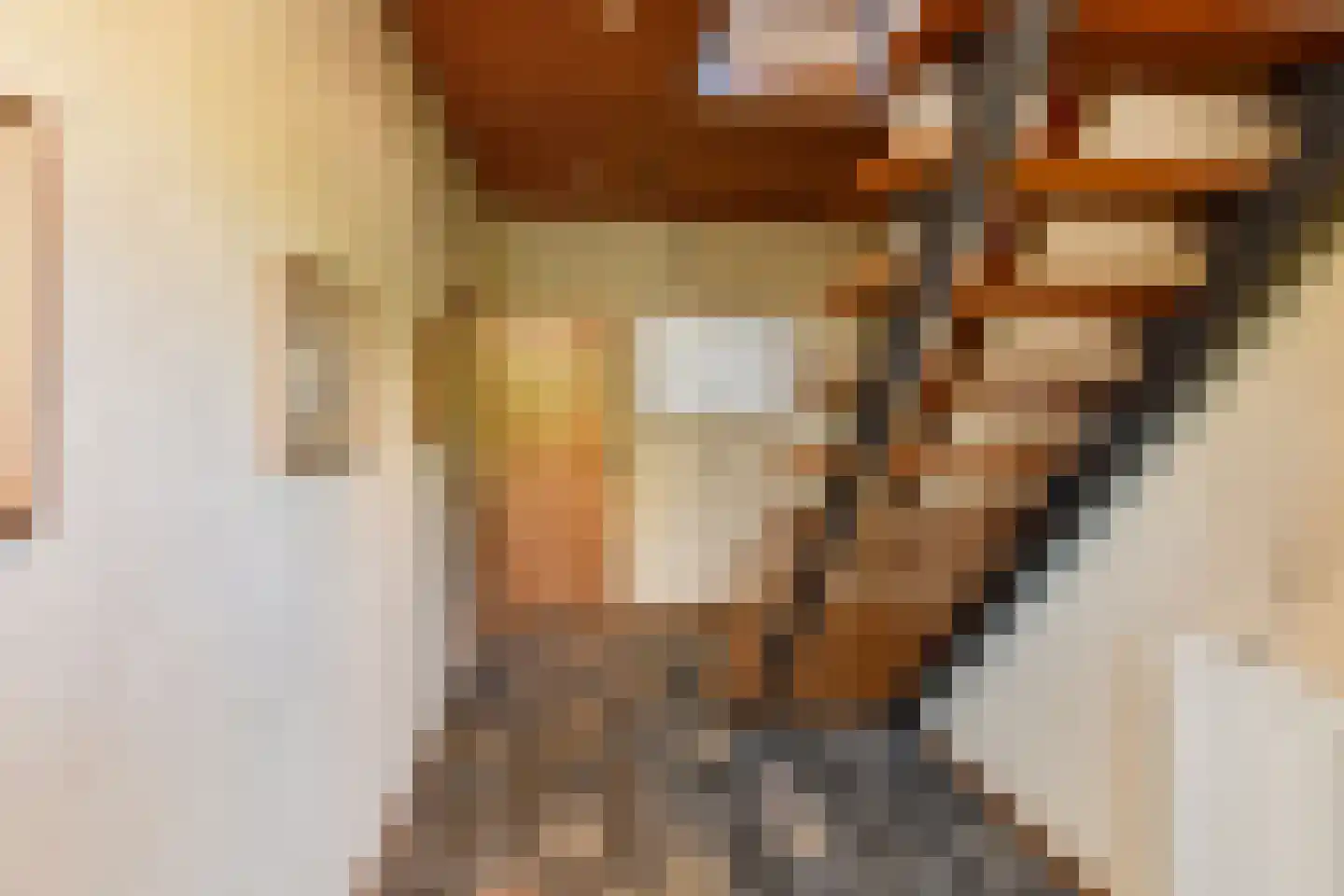 Tielsestraat 213 Andelst thumbnail 15