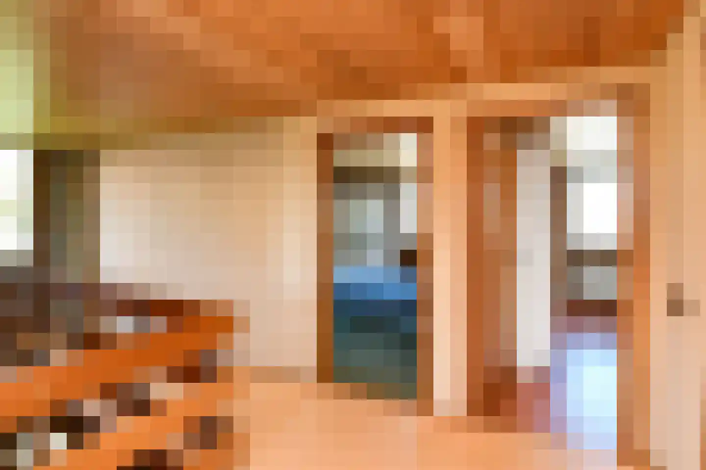 Tielsestraat 213 Andelst thumbnail 17