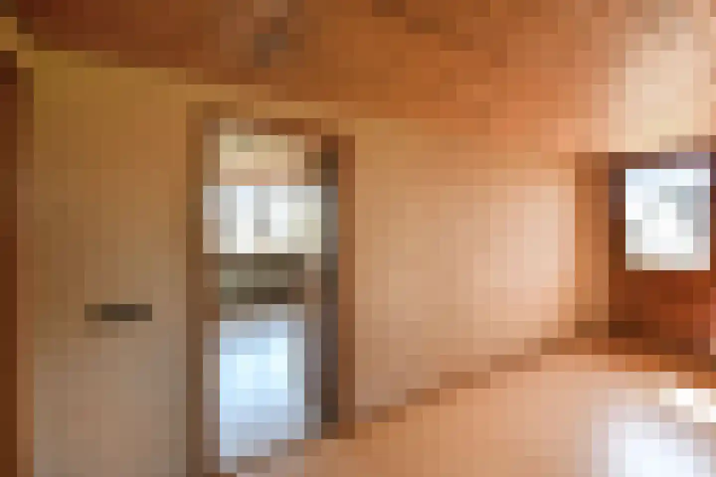 Tielsestraat 213 Andelst thumbnail 23
