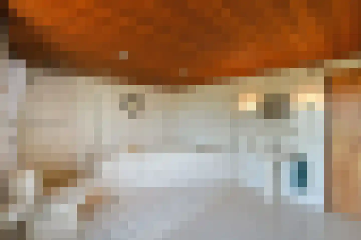 Tielsestraat 213 Andelst thumbnail 25