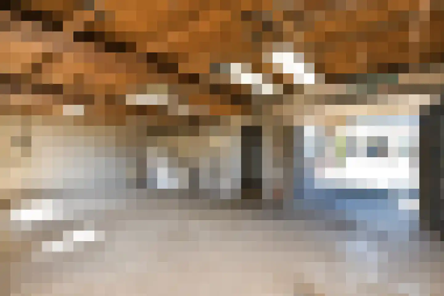 Tielsestraat 213 Andelst thumbnail 31