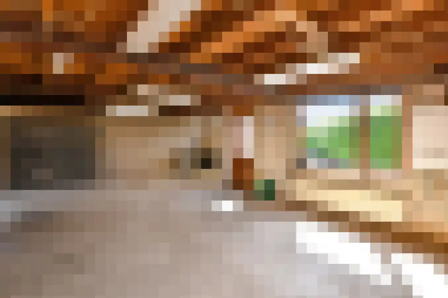 Tielsestraat 213 Andelst thumbnail 32