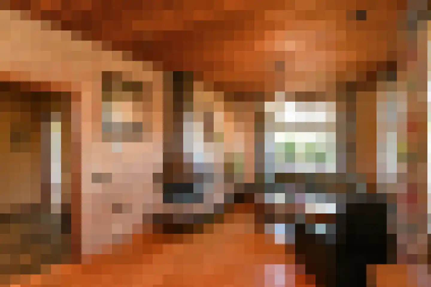 Tielsestraat 213 Andelst thumbnail 5