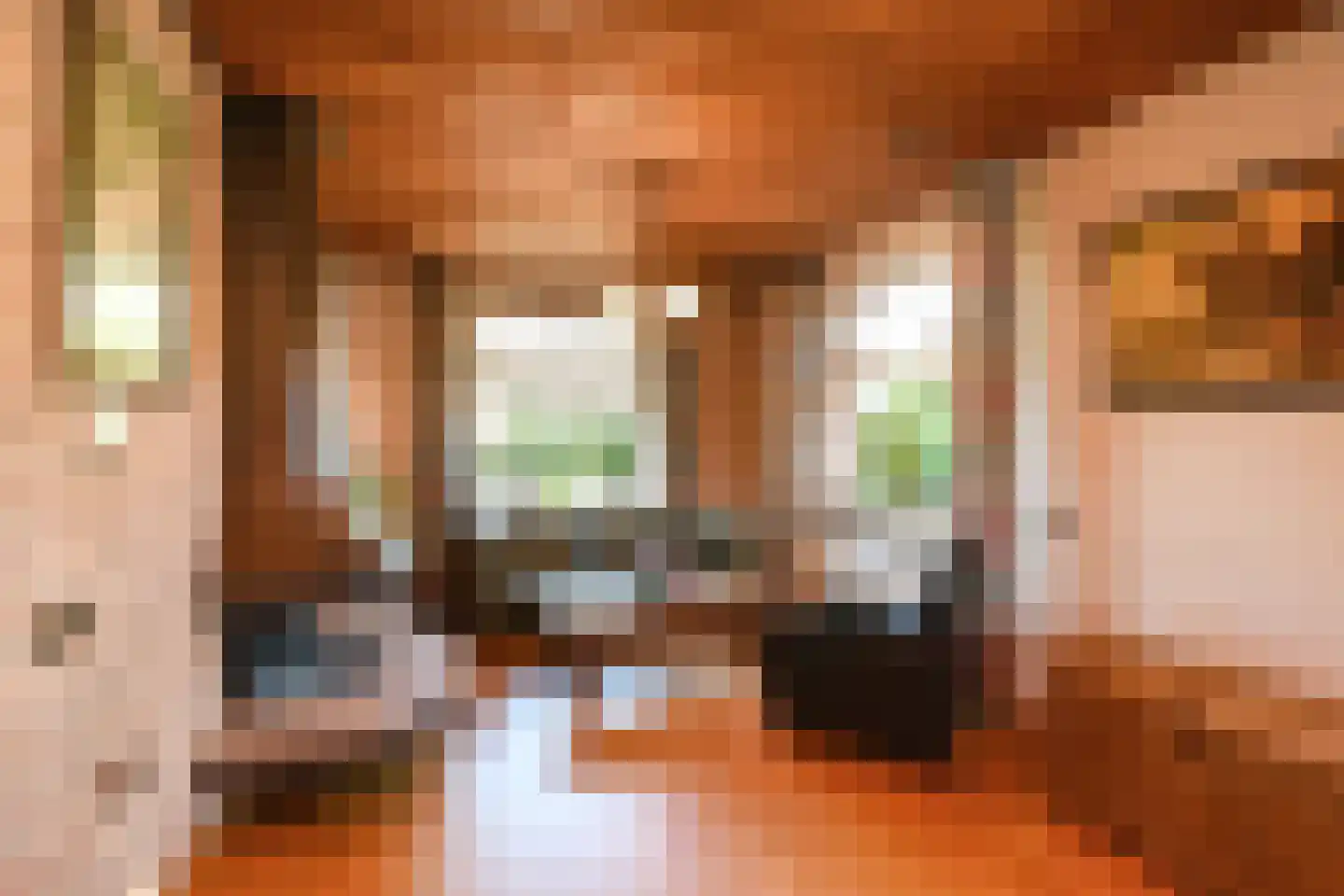 Tielsestraat 213 Andelst thumbnail 6