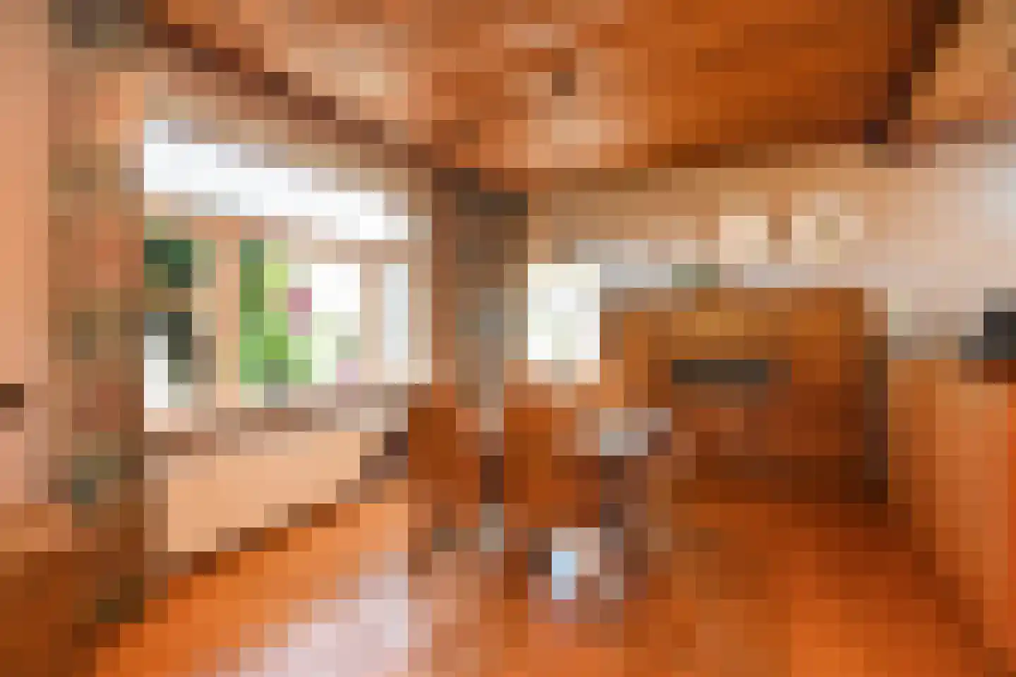 Tielsestraat 213 Andelst thumbnail 8