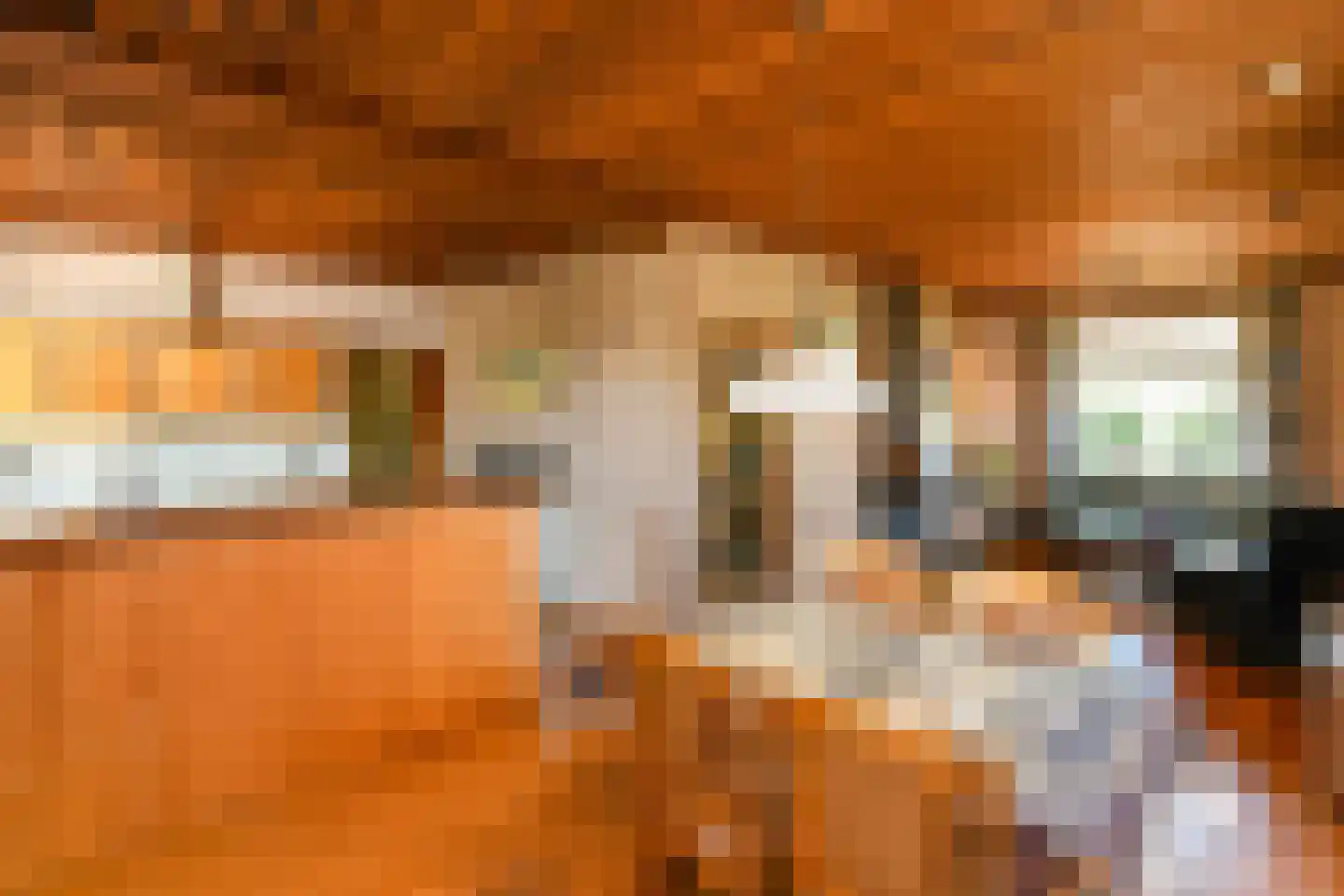 Tielsestraat 213 Andelst thumbnail 9
