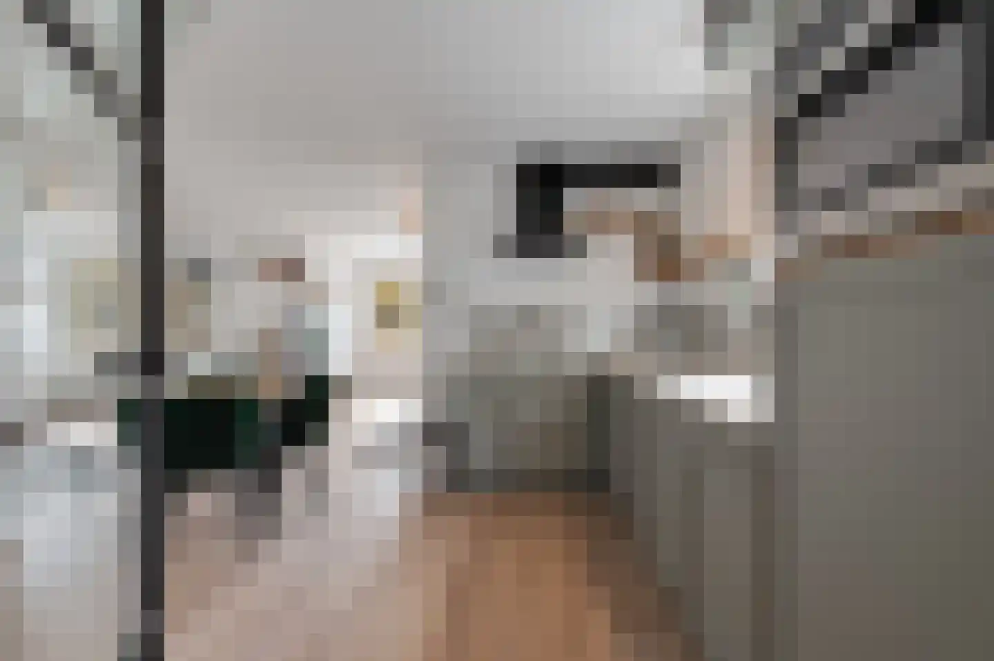 Tielsestraat 32 Maurik thumbnail 11