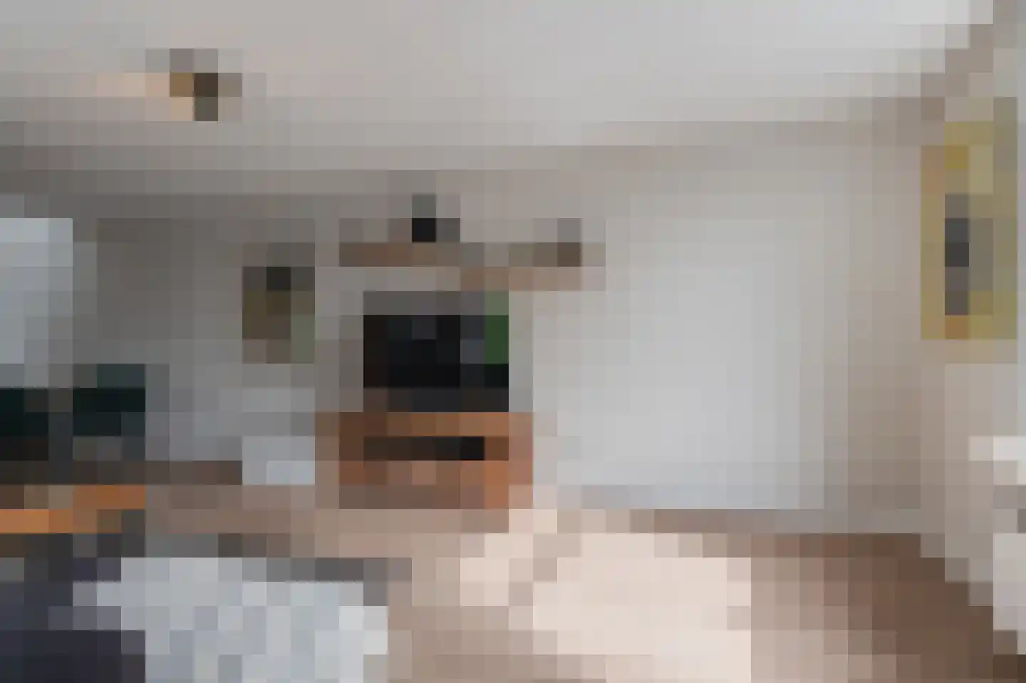 Tielsestraat 32 Maurik thumbnail 16