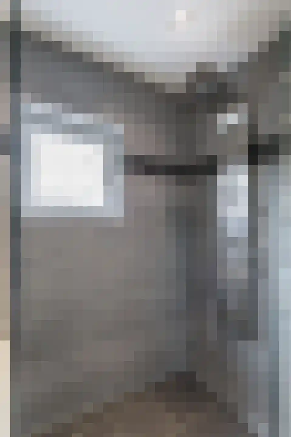 Tielsestraat 32 Maurik thumbnail 21