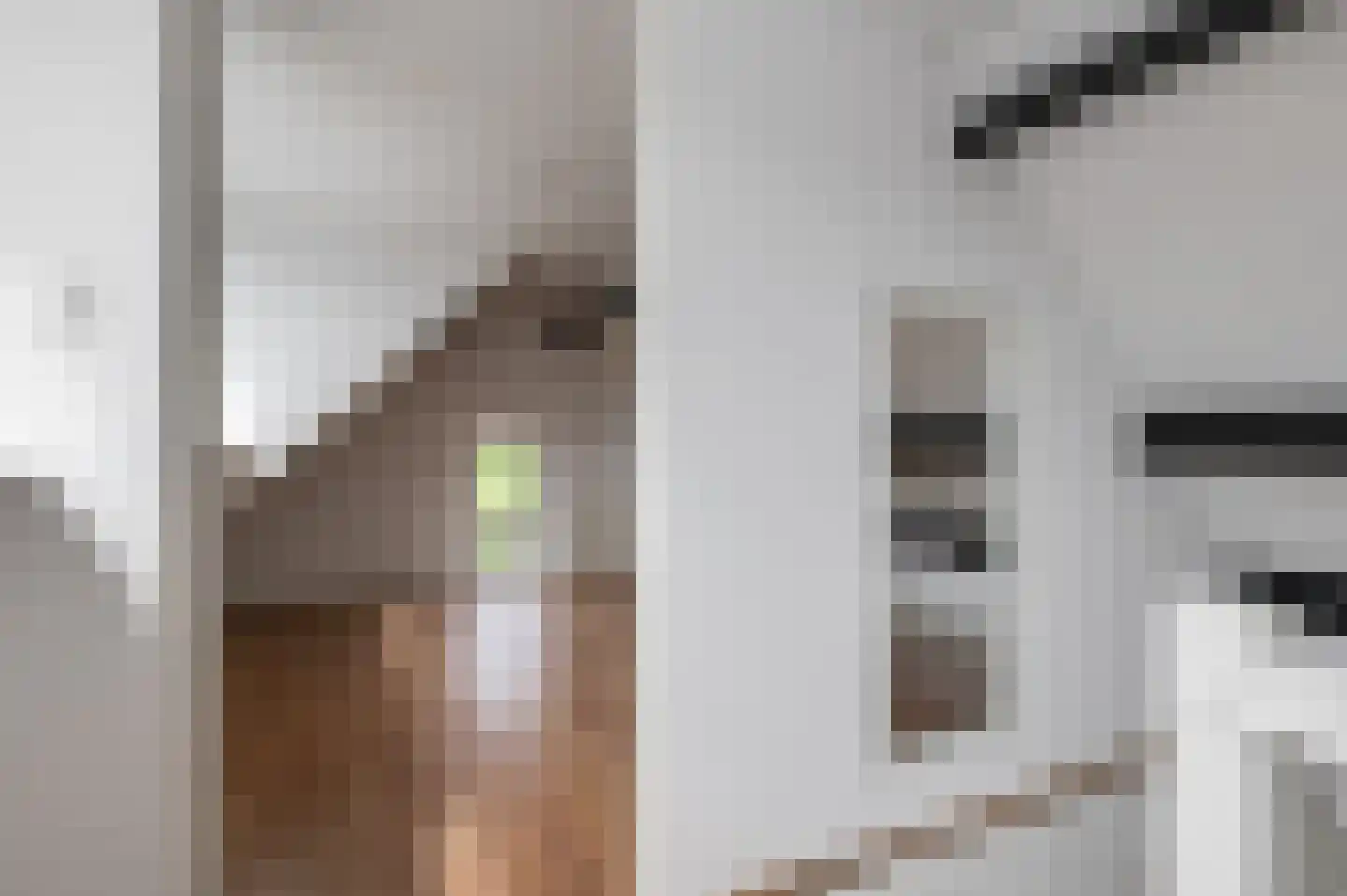 Tielsestraat 32 Maurik thumbnail 32