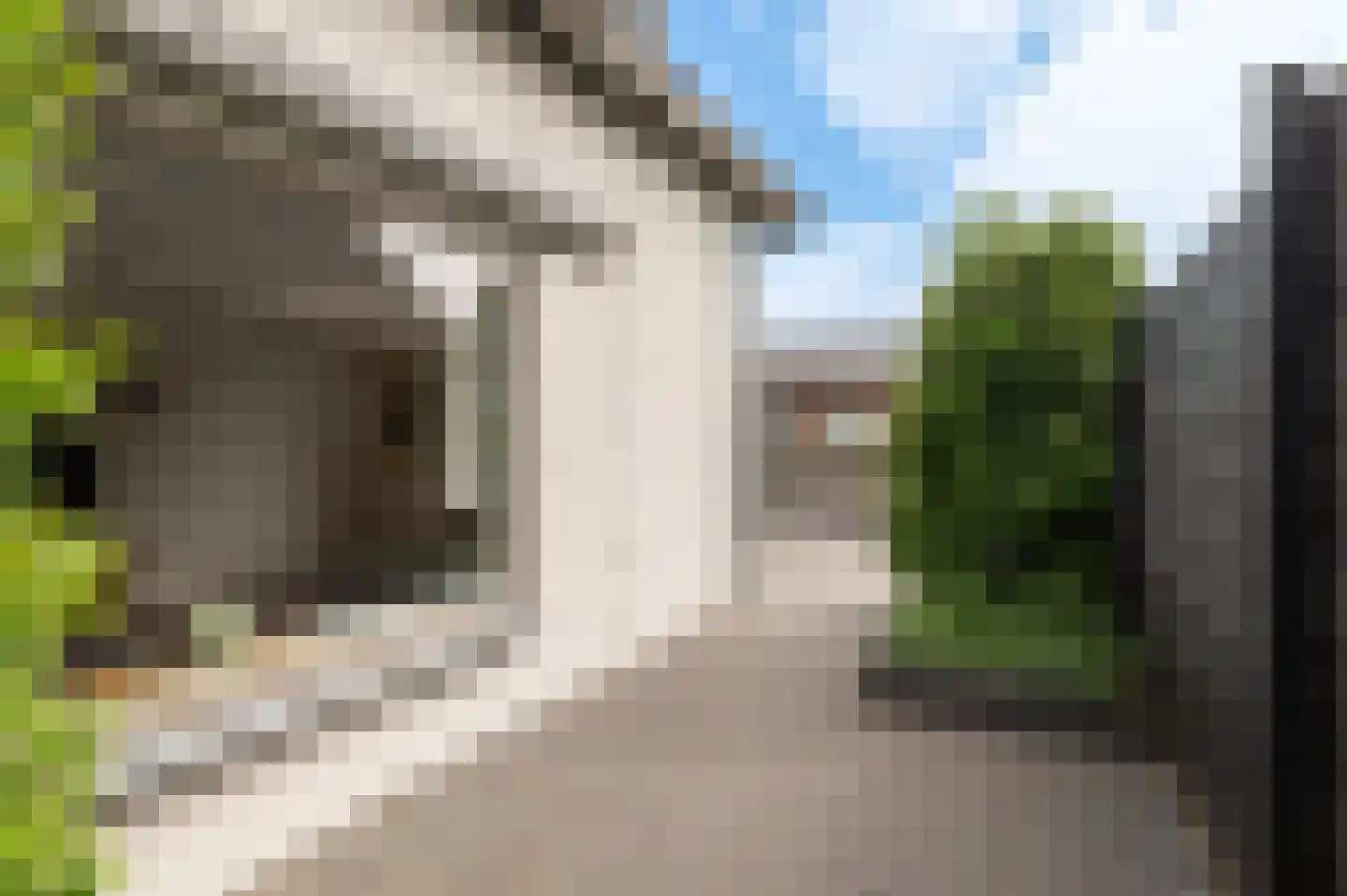 Tielsestraat 32 Maurik thumbnail 38