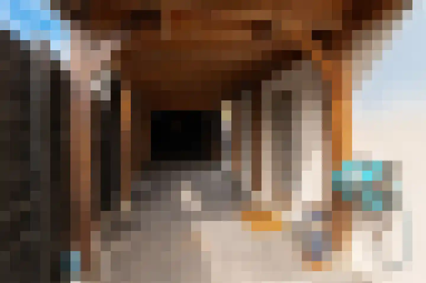 Tielsestraat 32 Maurik thumbnail 41