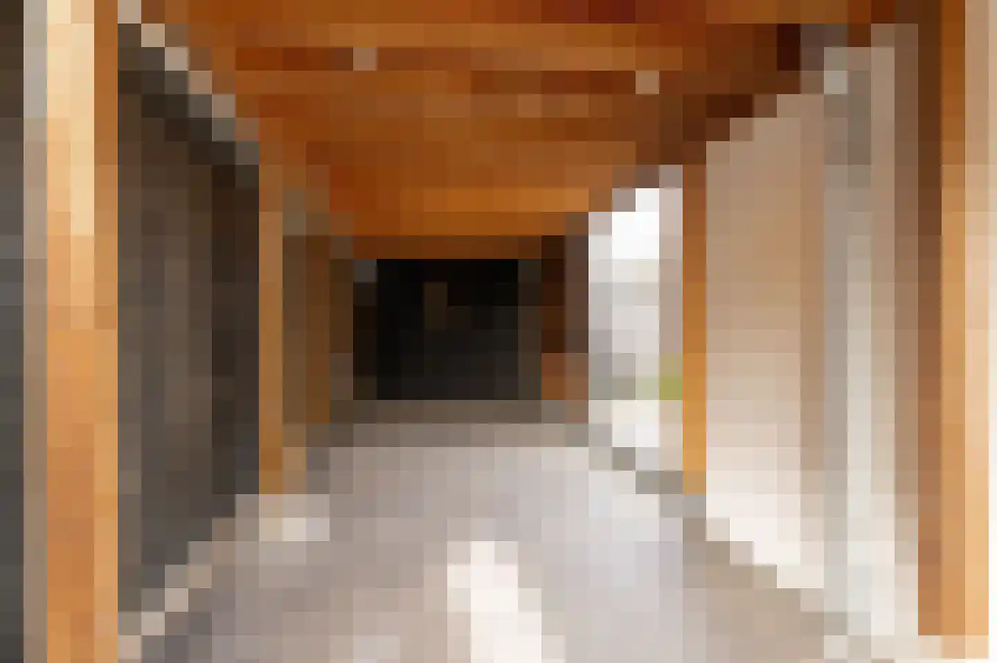 Tielsestraat 32 Maurik thumbnail 42