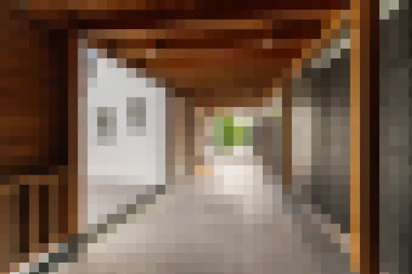 Tielsestraat 32 Maurik thumbnail 43