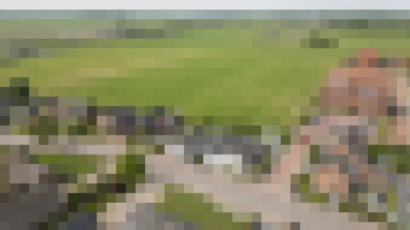 Tielsestraat 32 Maurik thumbnail 49