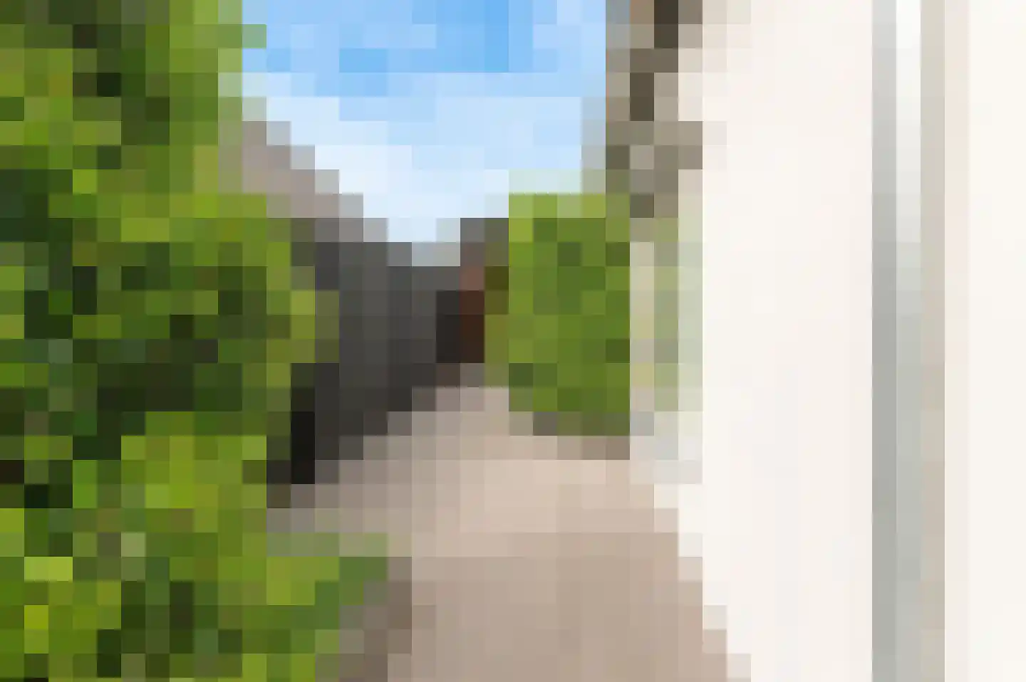Tielsestraat 32 Maurik thumbnail 5