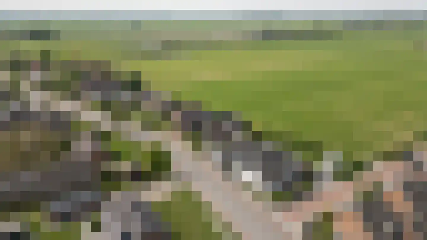 Tielsestraat 32 Maurik thumbnail 50