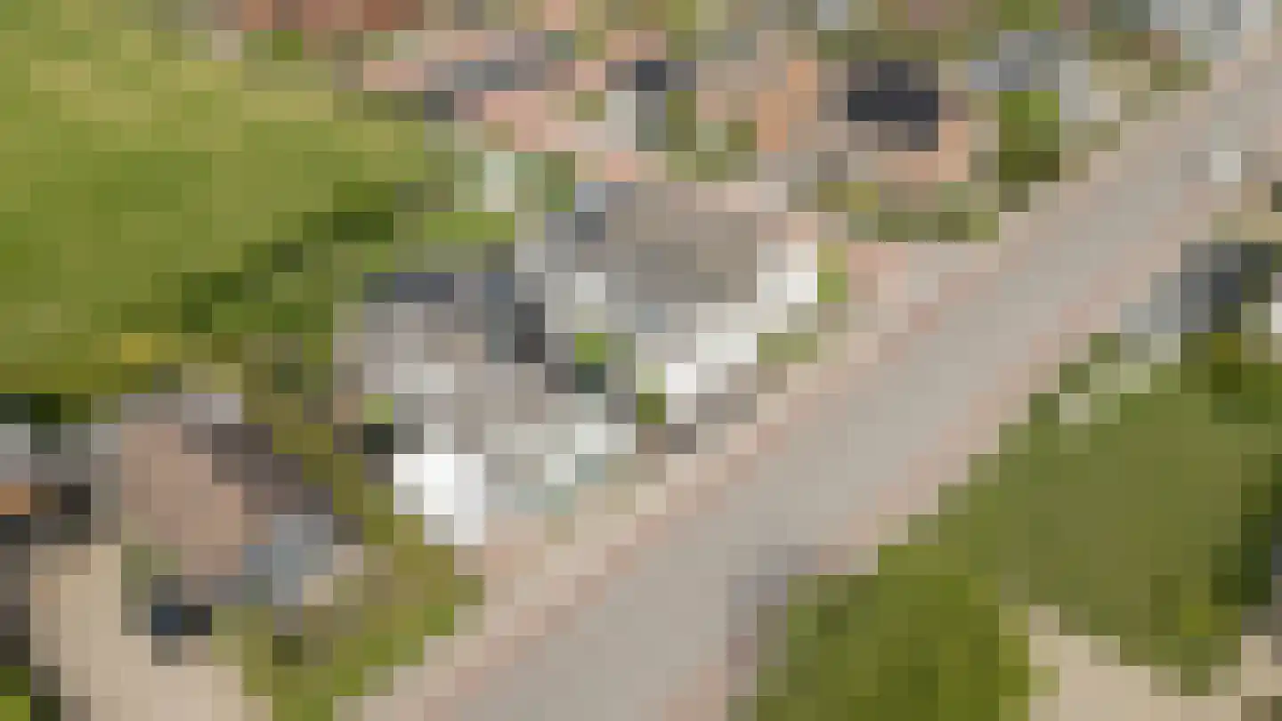 Tielsestraat 32 Maurik thumbnail 53