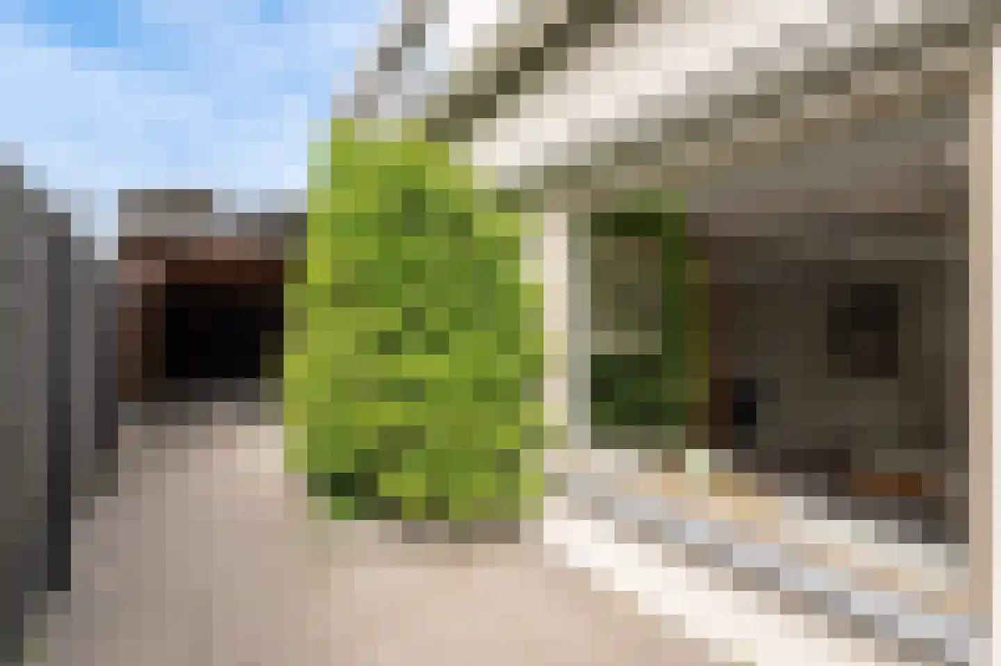 Tielsestraat 32 Maurik thumbnail 6