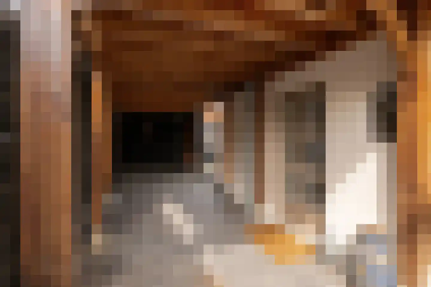 Tielsestraat 32 Maurik thumbnail 7