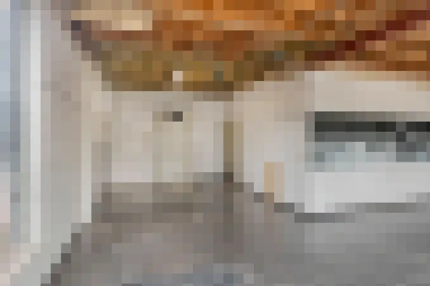 Tielsestraat 33 a Valburg thumbnail 9