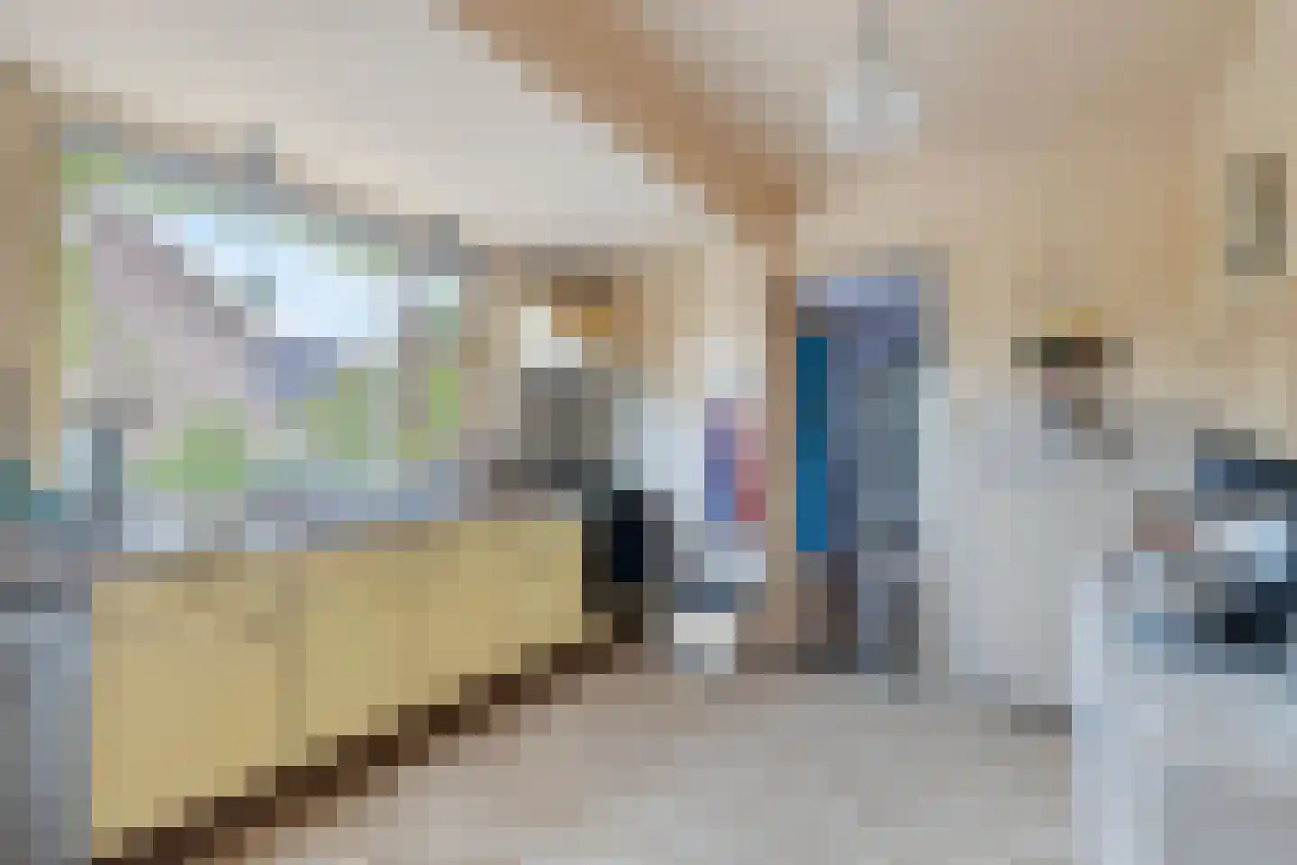 Tielsestraat 37 Maurik thumbnail 12