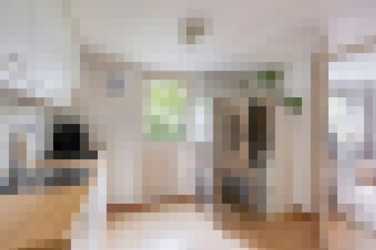 Tielsestraat 37 Maurik thumbnail 21