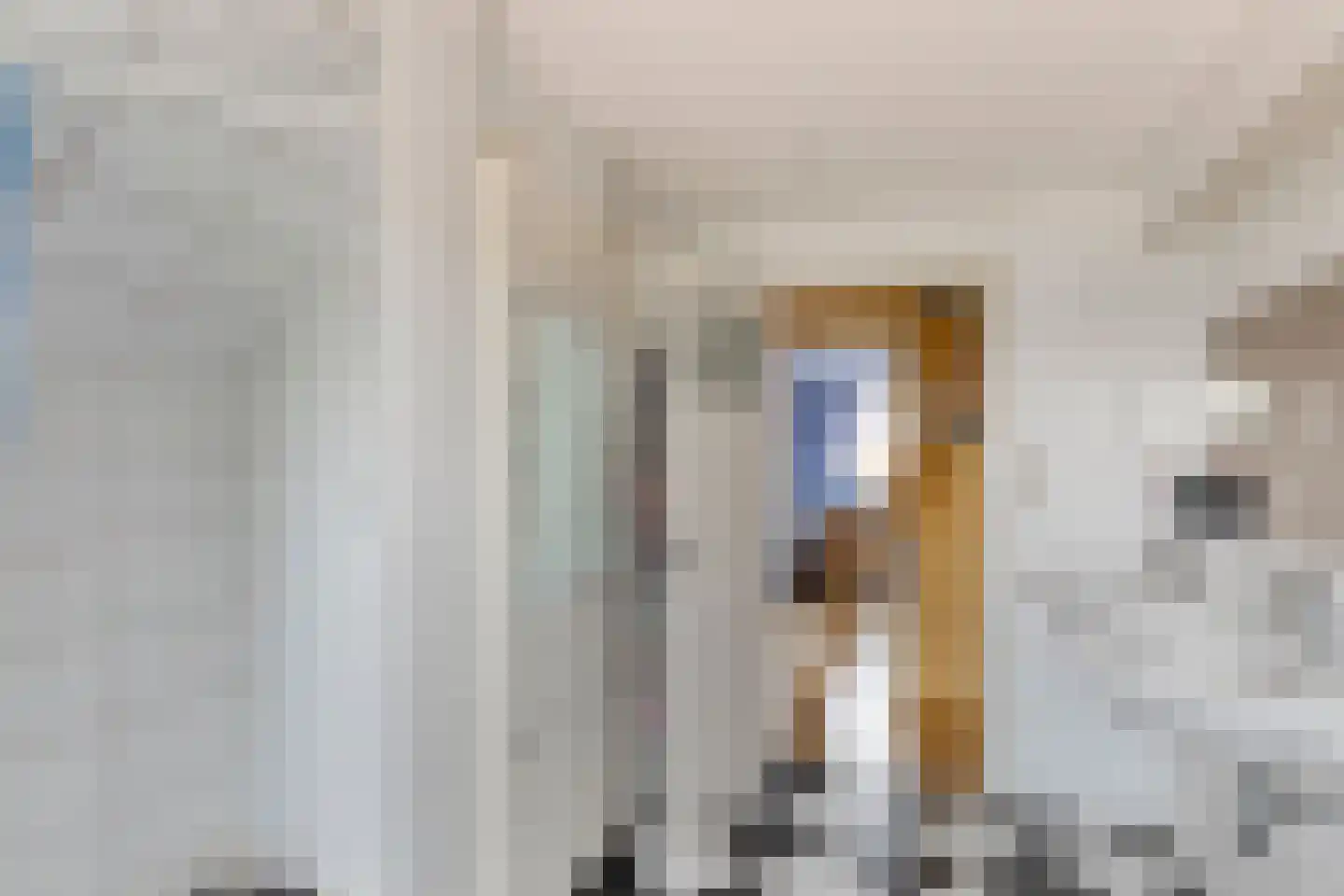 Tielsestraat 37 Maurik thumbnail 30
